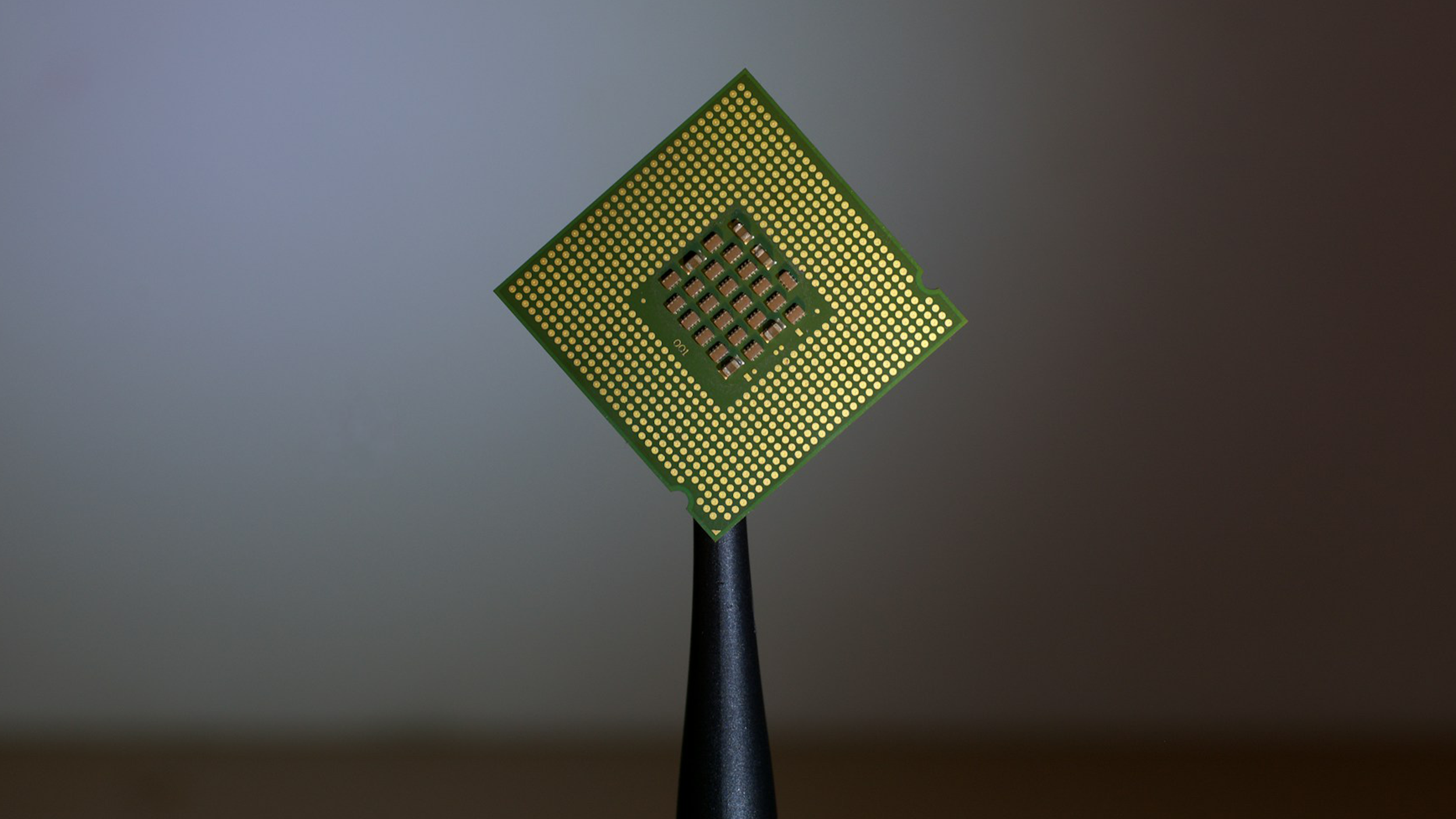 chip