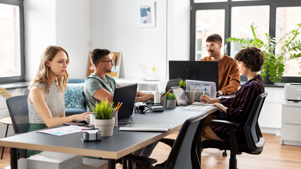 ERP Cloud vs ERP local